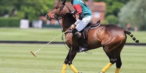  高校网球联赛激战正酣，学霸选手兼顾学业训练